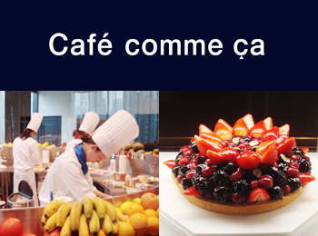 �J�t�F�R���T�V�h�X�@�p�e�B�V�G�E�J�t�F�X�^�b�t�E�M�����\����W��