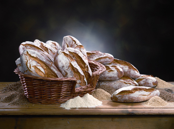 PISTRINA DIO（ピストリーナ ディオ） パン製造スタッフ・製造補助スタッフ・販売スタッフ募集