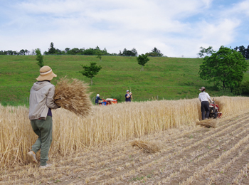 KURKKU FIELDS �x�[�J���[���� Lanka�i�N���b�N�t�B�[���Y �����J�j�p�������X�^�b�t��W