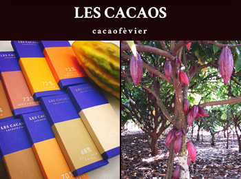 Les cacaos（レ・カカオ）パティシエ・チョコレート製造・販売スタッフ募集