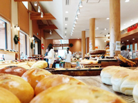 上市 ミッシェル 北