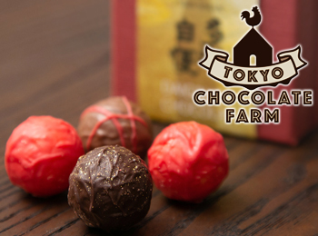 TOKYO CHOCOLATE FARM（トーキョーチョコレイトファーム）ショコラティエ・パティシエ・洋菓子製造スタッフ募集